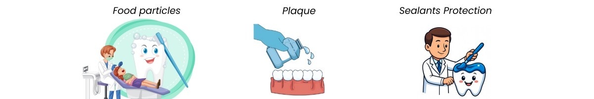 The Science Behind Sealants | Main Street Dental